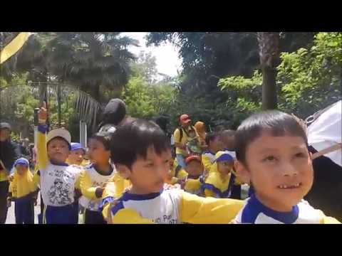 VIDEO: Asyiknya Bermain dan Belajar di Eco Green Park