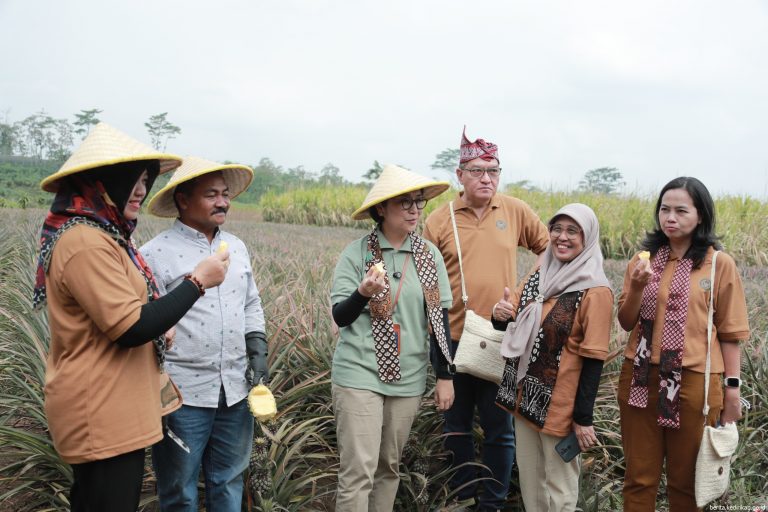 visitasi_3