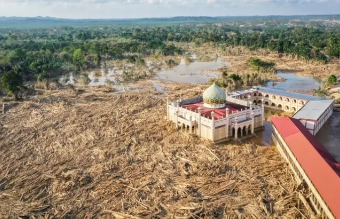Izin 28 Perusahaan Industri Hasil Hutan hingga Tambang di Pulau Sumatra Dicabut